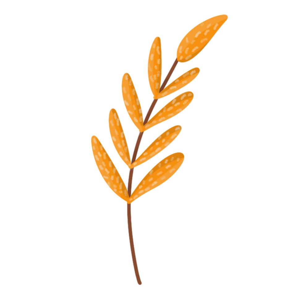 Autumn Leaf Flat Illustration png
