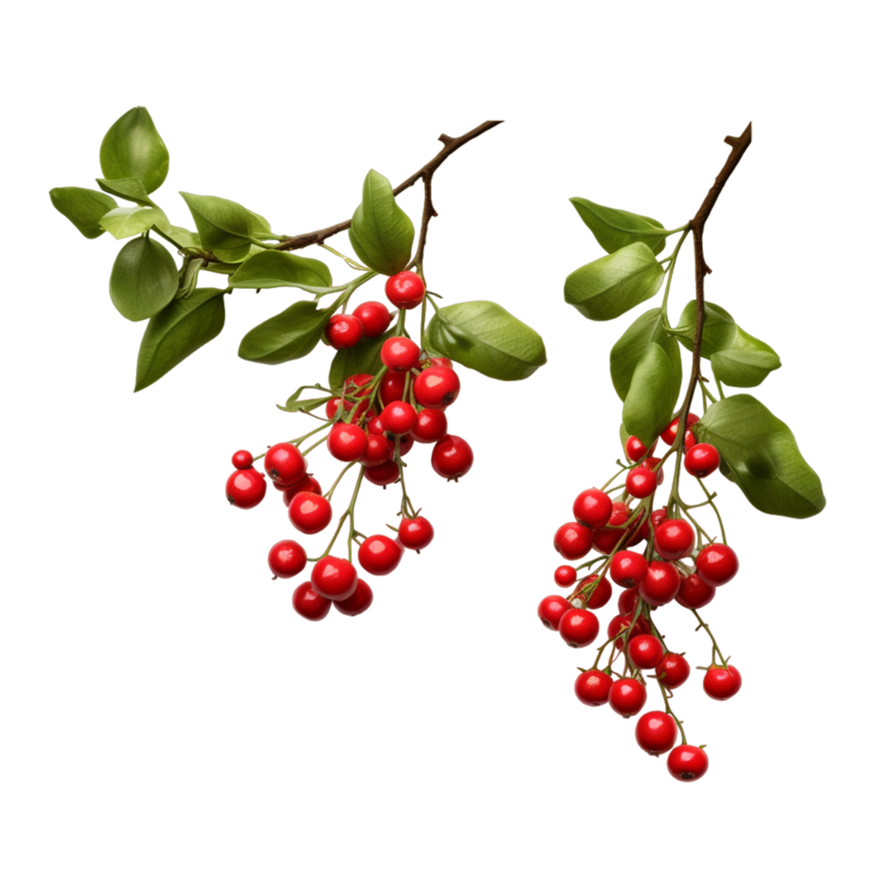 Realistic red currant berry Ai Generative png