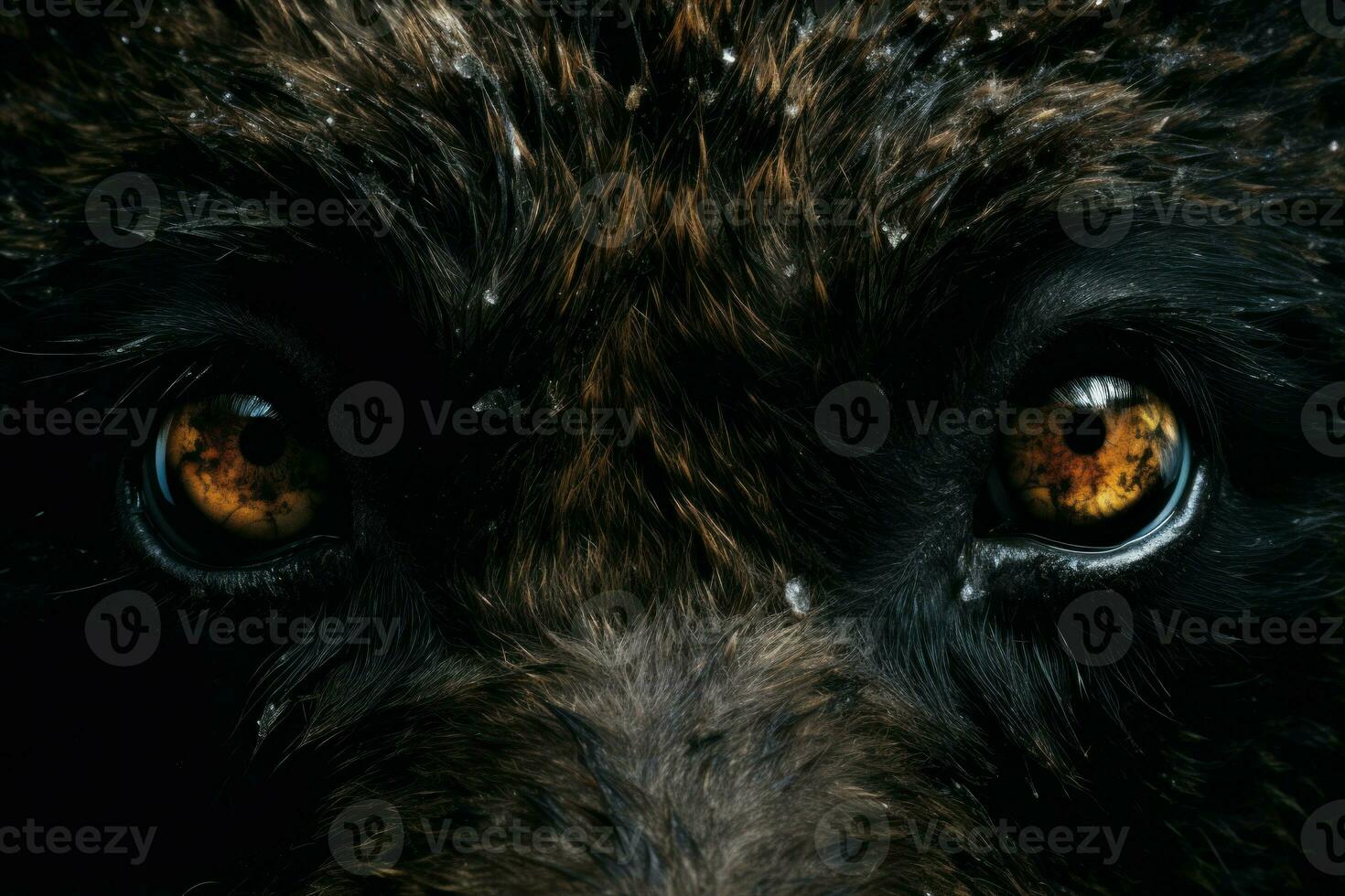 Piercing Closeup bear eyes animal. Generate Ai photo