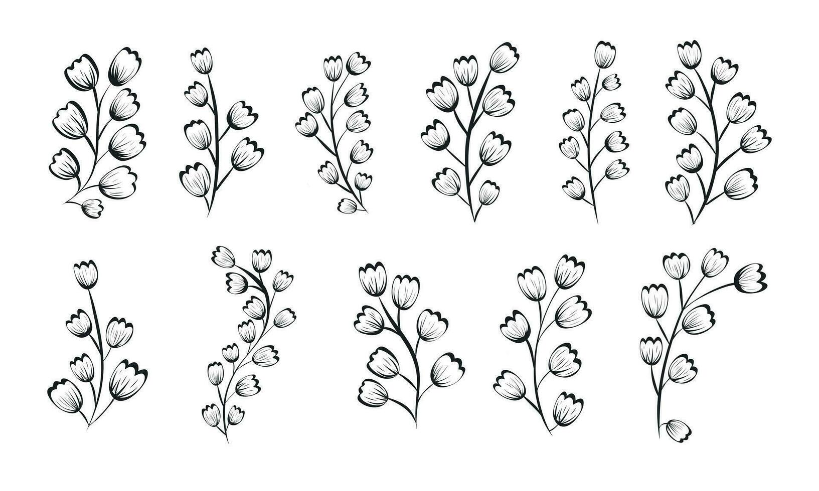 Black and white doodle of branches with flower buds. Set of vector isolated botanical twigs.