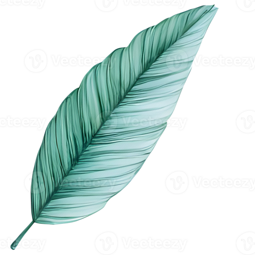 Leaf in Christmas. png