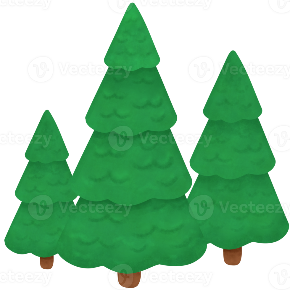 fresh pine trees, Christmas trees, hand drawn element for card and