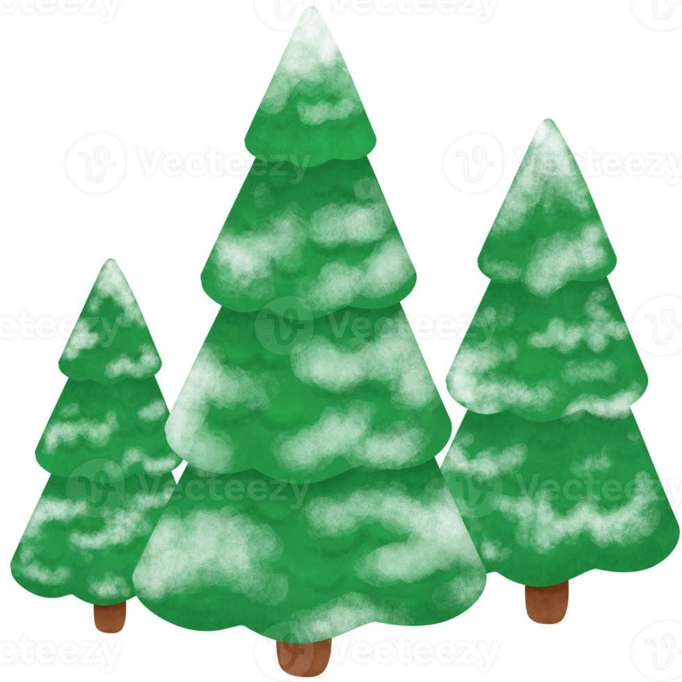 3 pine trees in snowy winter with snow hanging on leaves png