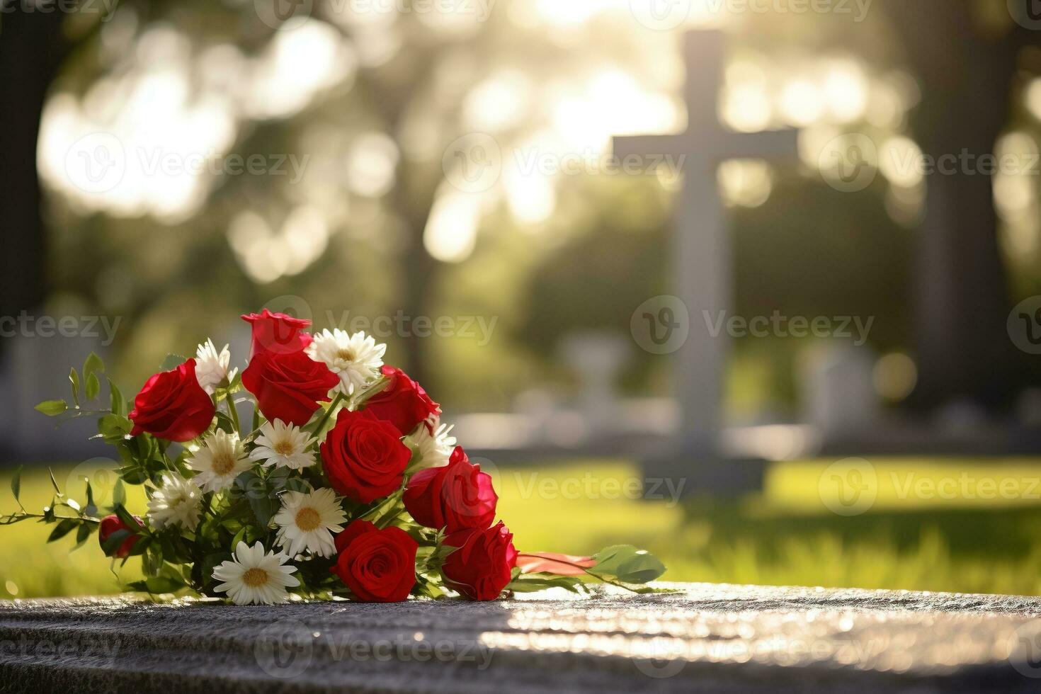 Red roses on a grave at a cemetery during the sunset with copy space AI generated photo