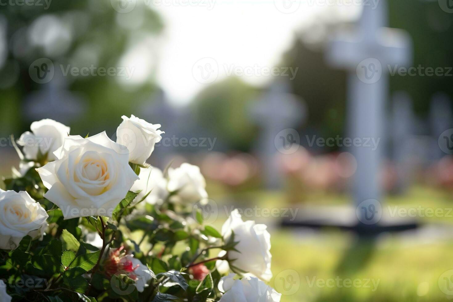 blanco flores en frente de un lápida sepulcral a un cementerio con atardecer.funeral concepto ai generado foto