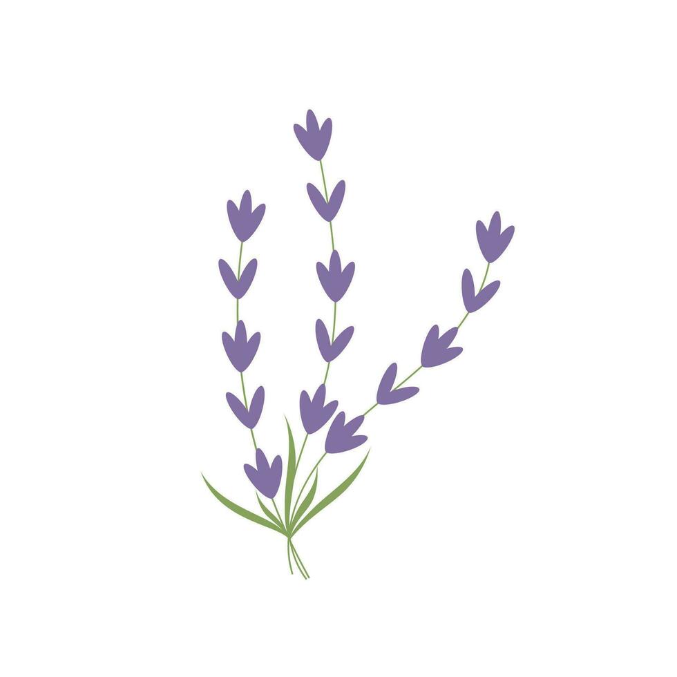 Lavender logo icon isolated vector illustration.