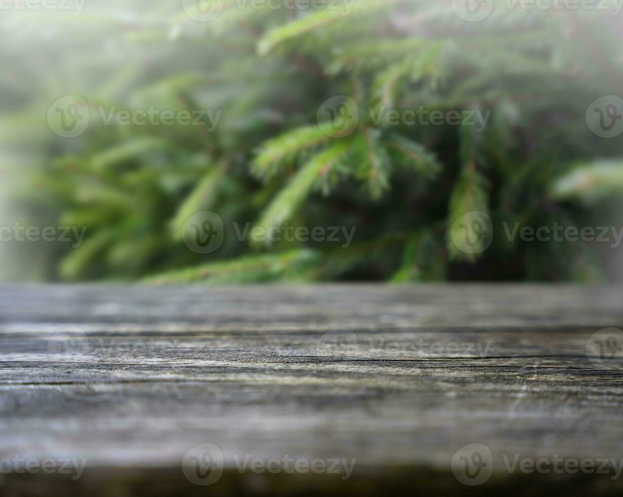 Winter concept. Wooden background and green spruce branches in blurred. Place for text. Selective focus. photo