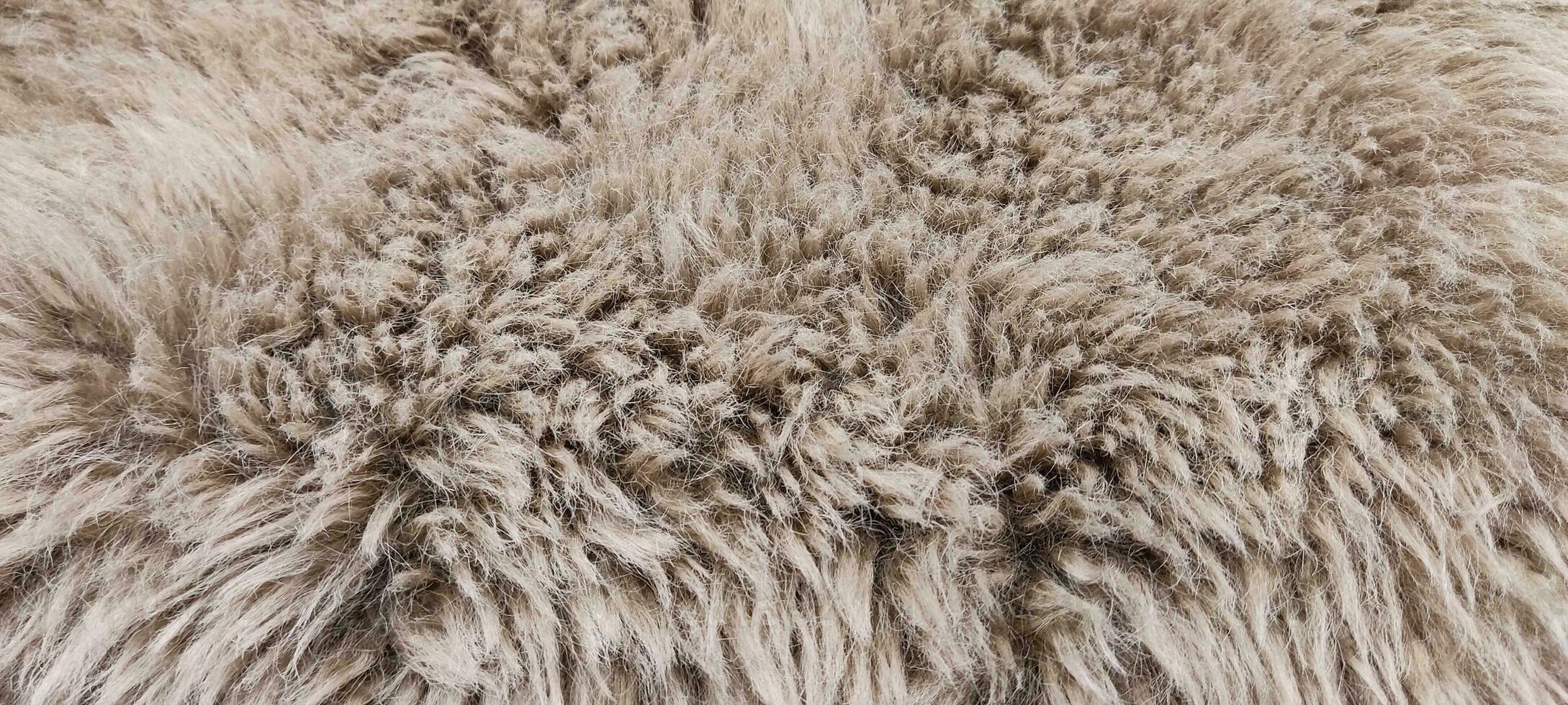 furr fabric texture and background photo