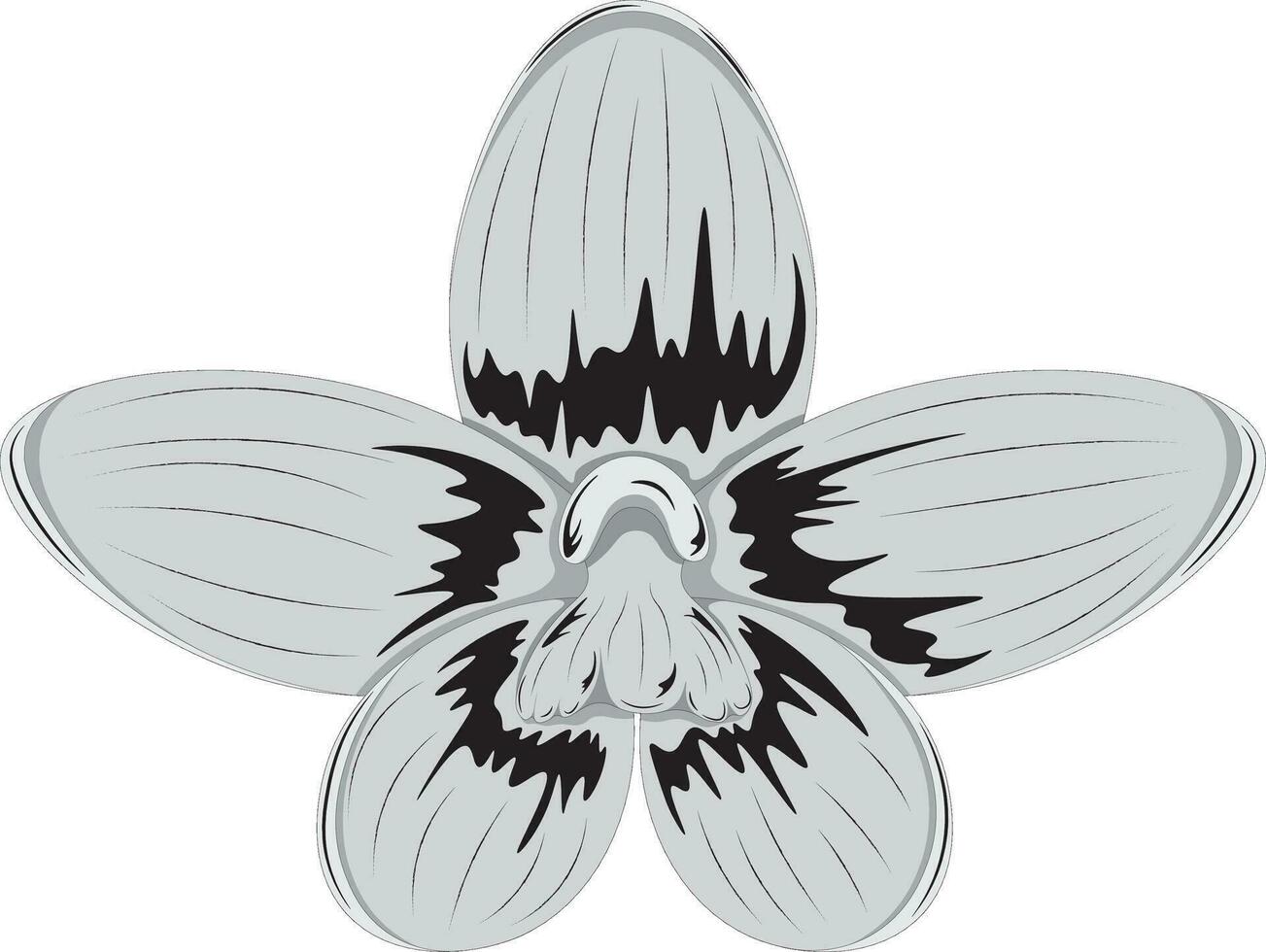 escala de grises orquídea flor vector ilustración