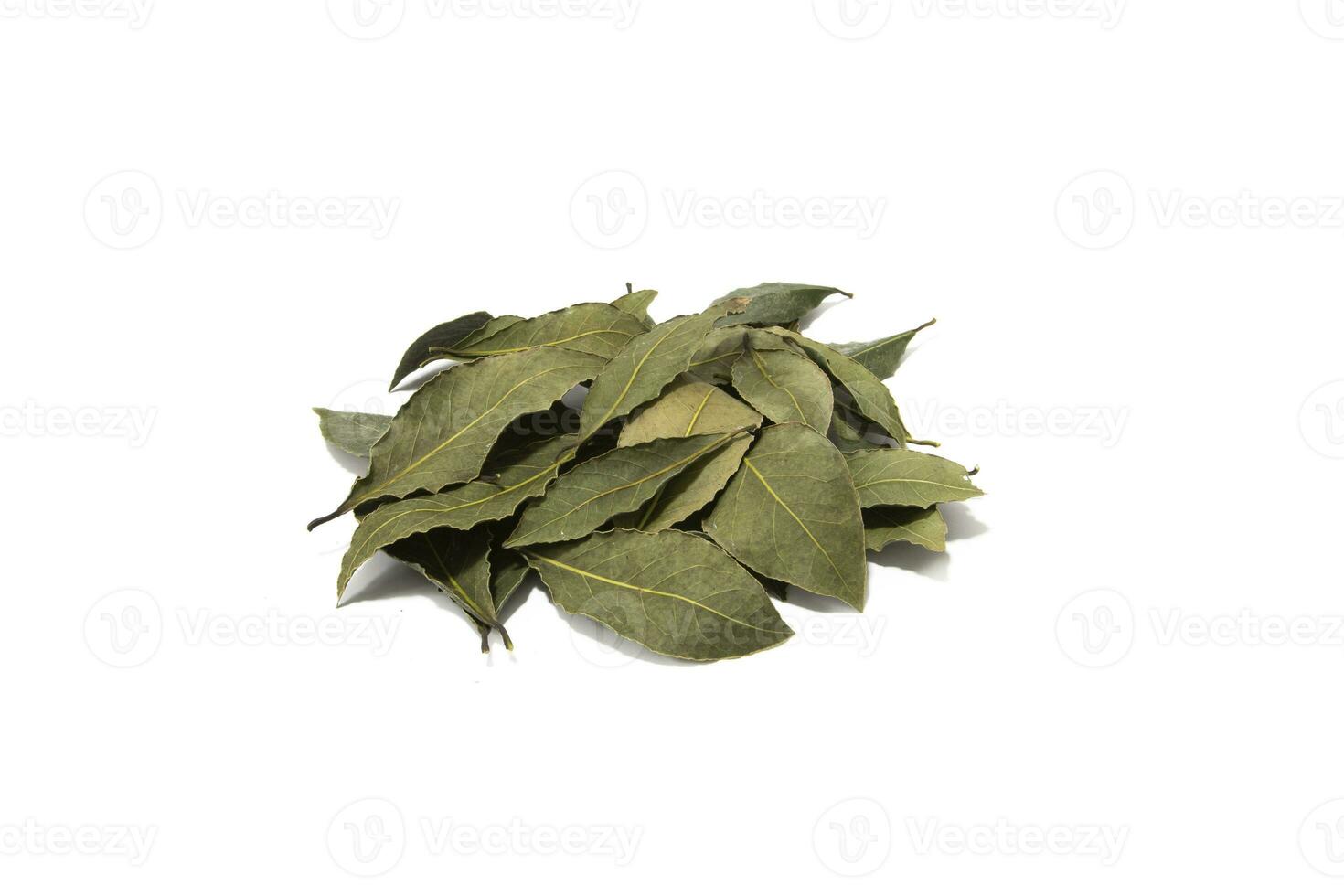 Bay leaves, isolated on a white background. Seasoning concept. photo