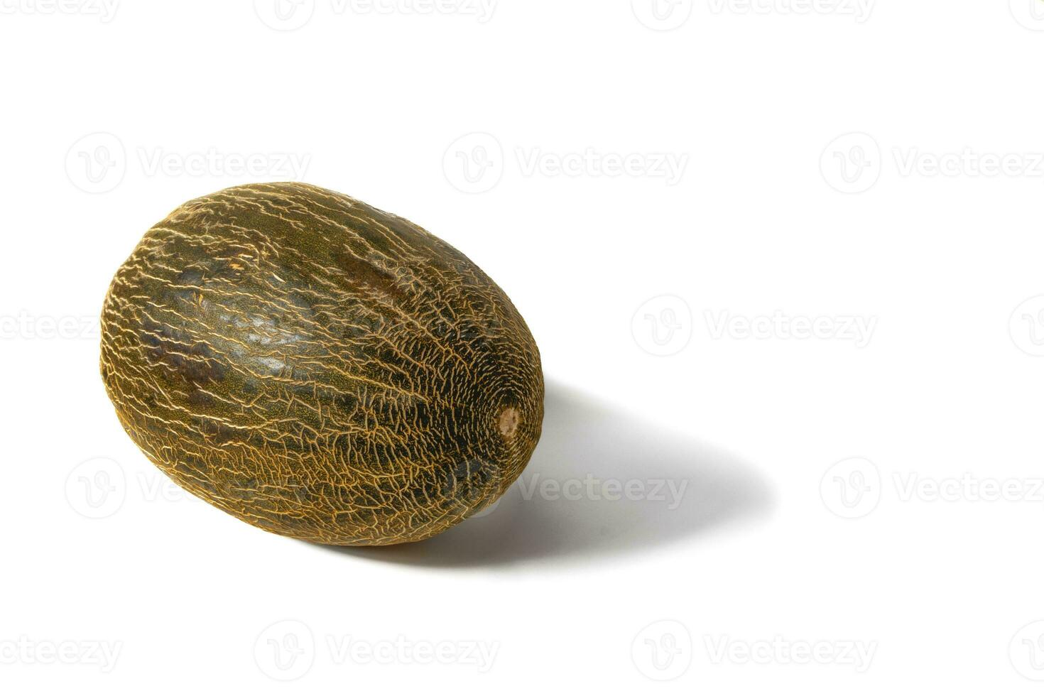 Toad melon, isolated on white background. The toad melon, also known as Santa Claus melon, is a juicy, refreshing fruit with a rough, green skin that hides a sweet, crunchy pulp inside. photo