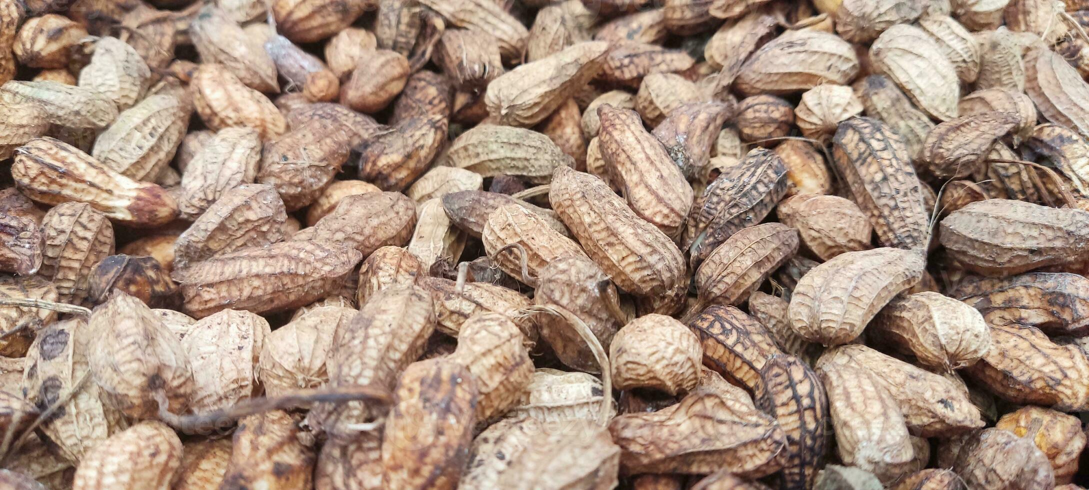 many peanuts with shell photo