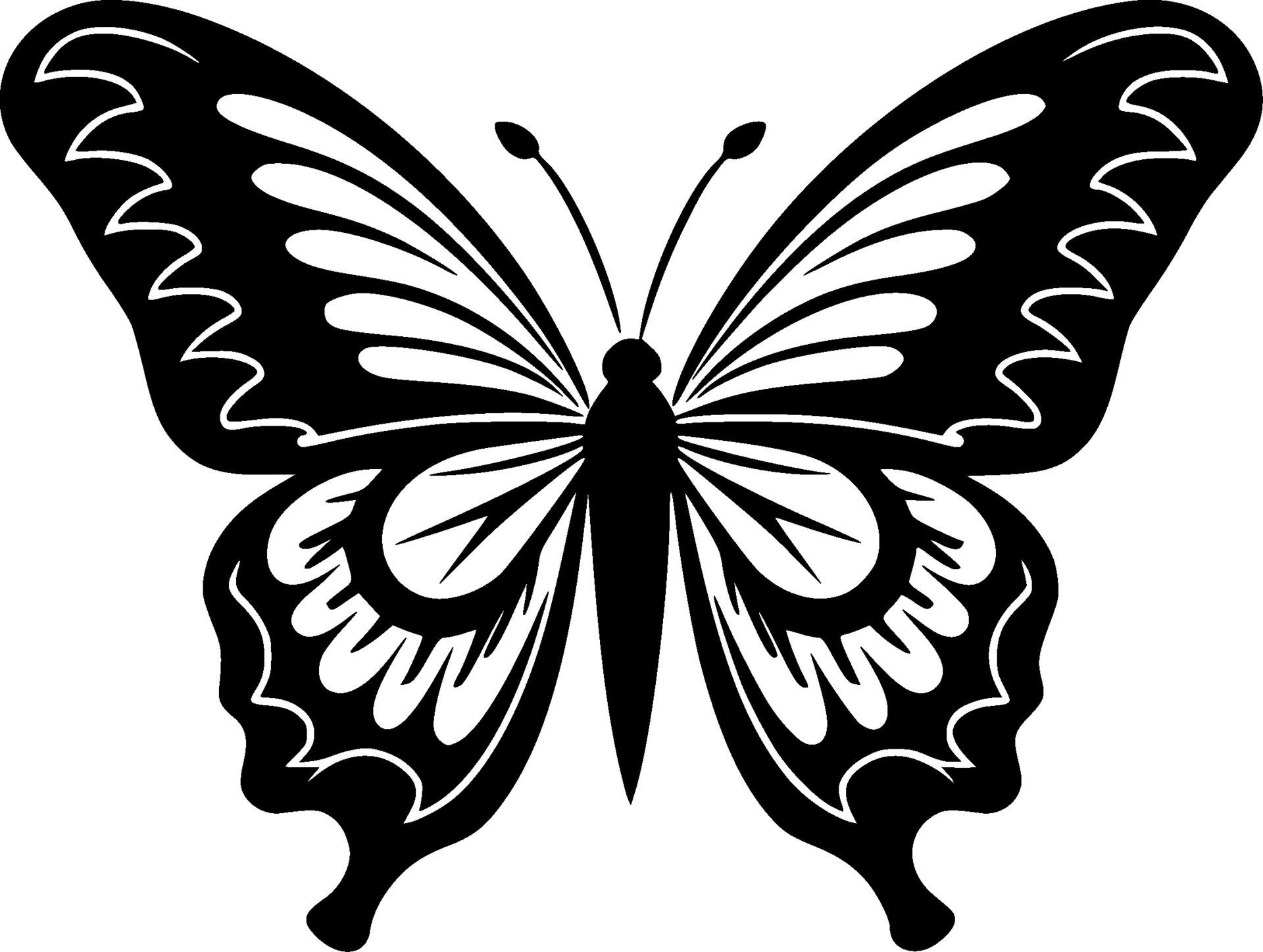 Butterfly - Black and White Isolated Icon - Vector illustration