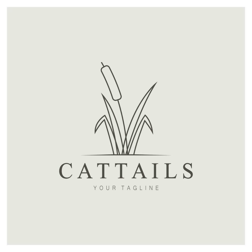 cattails or river reed grass plant logo design, aquatic plants, swamp, wild grass vector