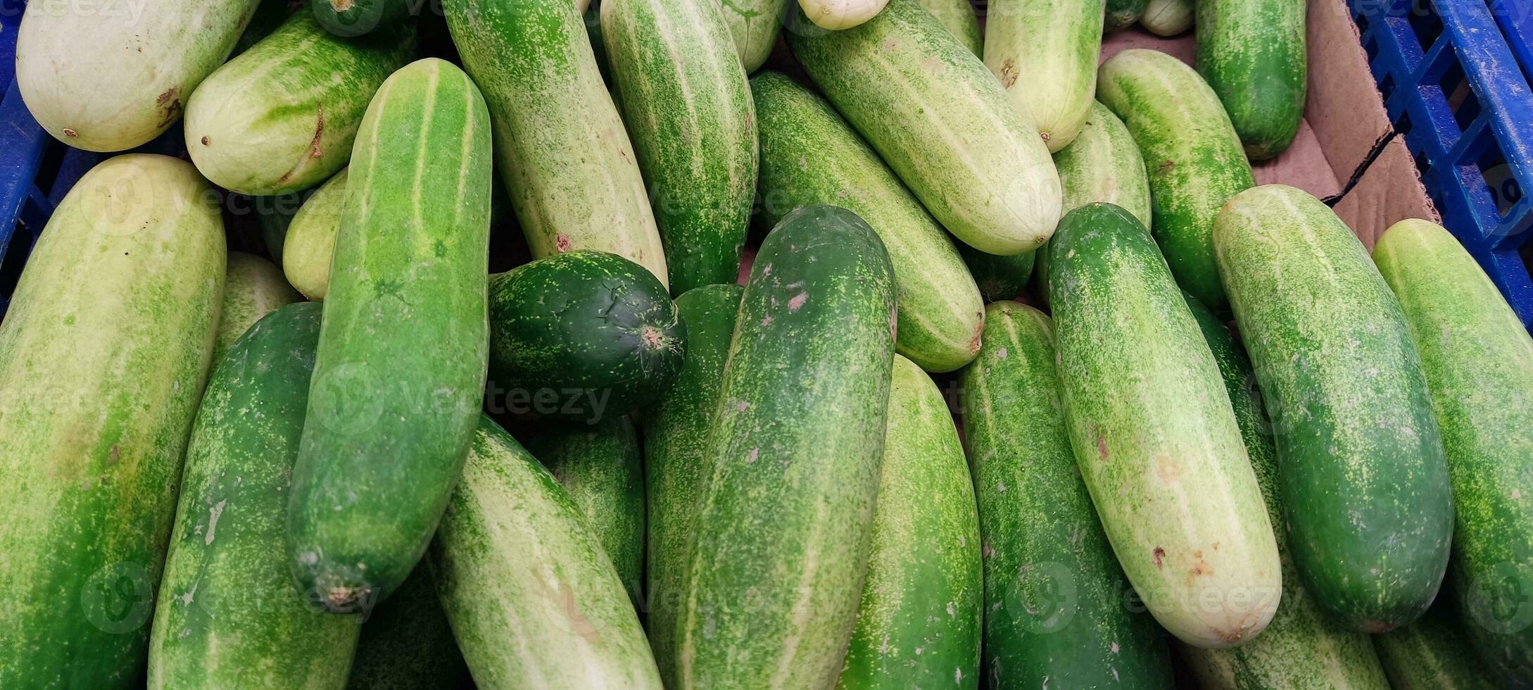 fresh curcumber on the market photo