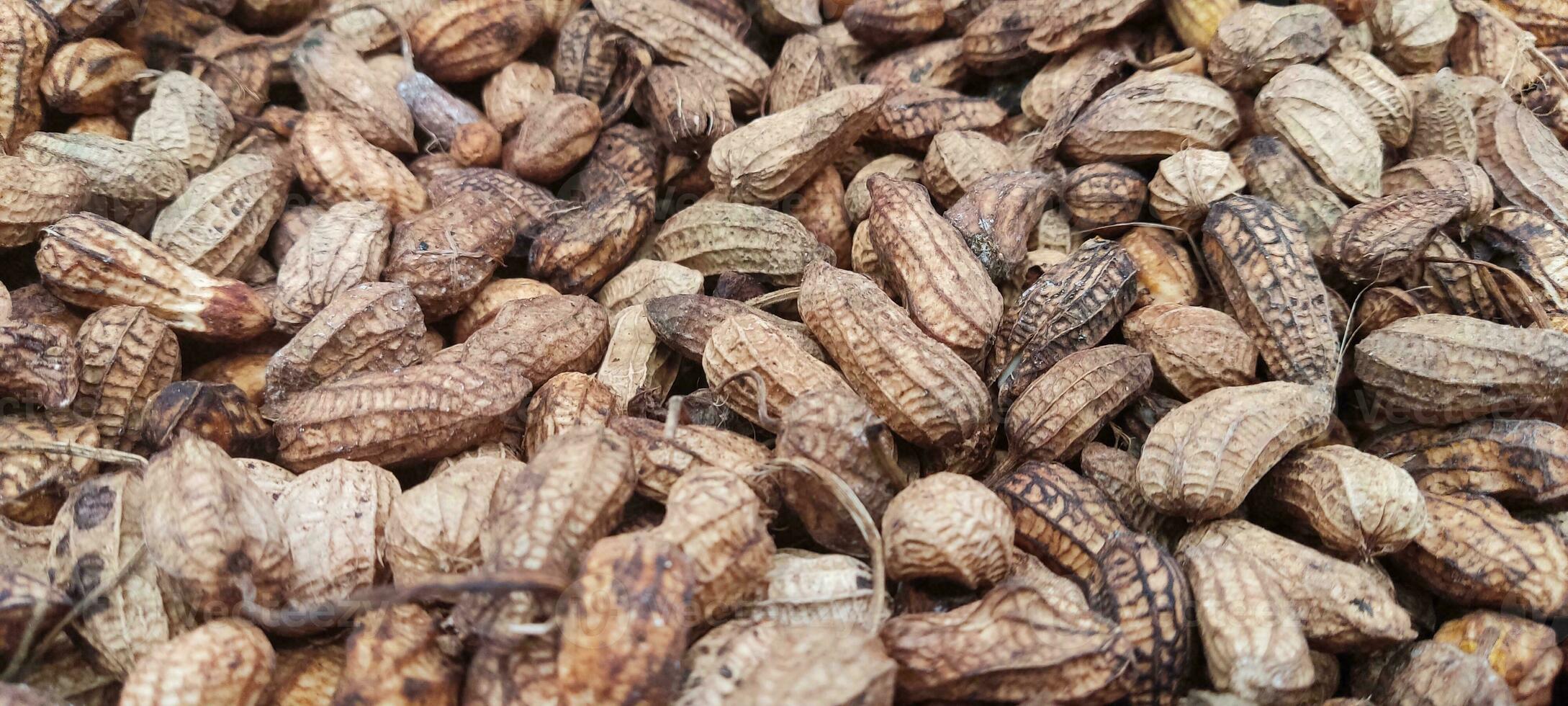 many peanuts with shell photo