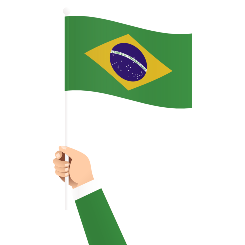 hand innehav Brasilien nationell flagga isolerat transparent enkel illustration png