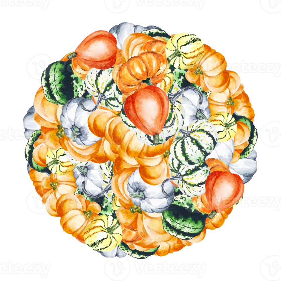 pompoenen in de het formulier van een cirkel. waterverf illustratie van helder pompoenen. illustratie met groenten. voor uw ontwerp. kan worden gebruikt voor textiel, papier producten png