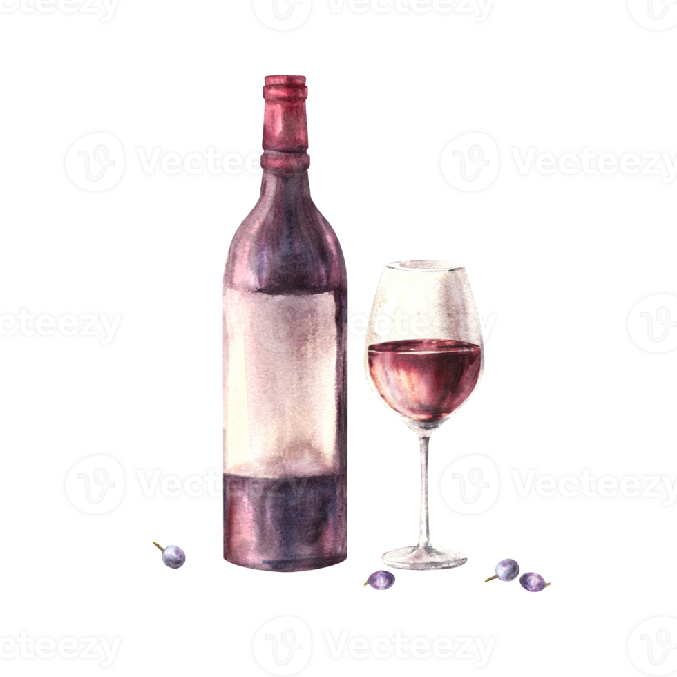 A bottle and glass of red wine with grape berries. Watercolour hand draw food illustration. Wine making set for your design print of sticker, flyers, drink menu, wine list, card png