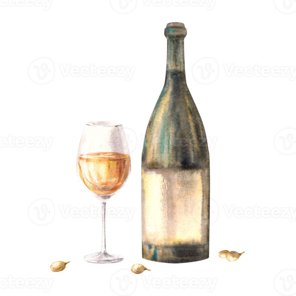 A bottle and glass of white wine with grape berries. Watercolour hand draw food illustration. Wine making set for your design print of sticker, flyers, drink menu, wine list, card png