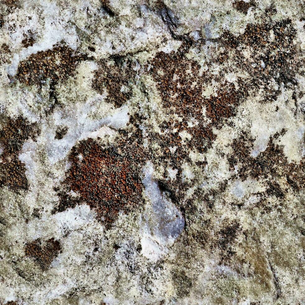 Photo realistic seamless texture pattern of granite stone walls in high resolution..