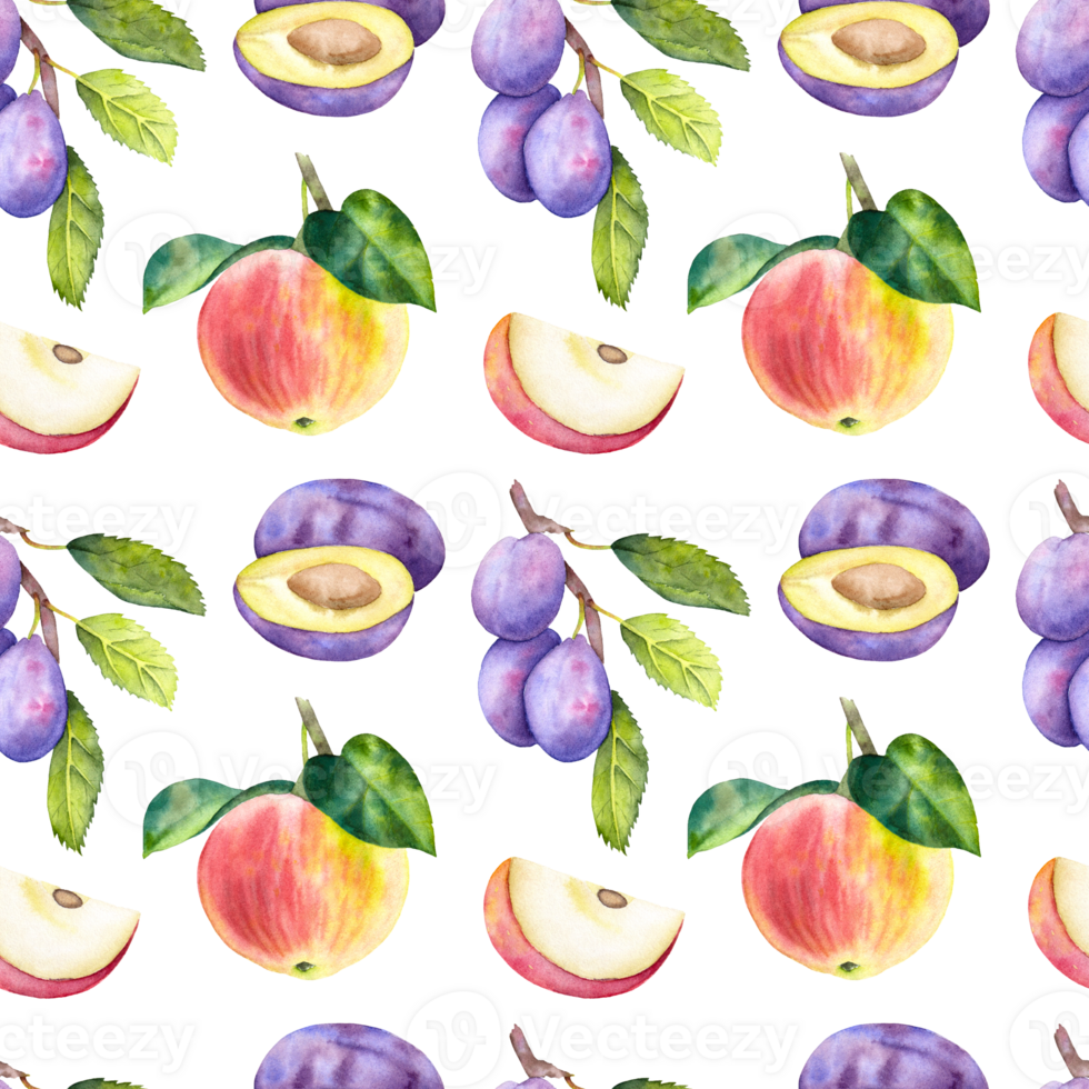 Hand drawn watercolor fruit pattern with plums and apples on the transparent background. Botanical fruit pattern. png