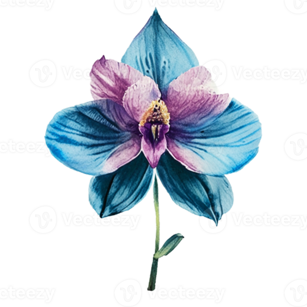 Orchid Flower beautiful AI Generative png