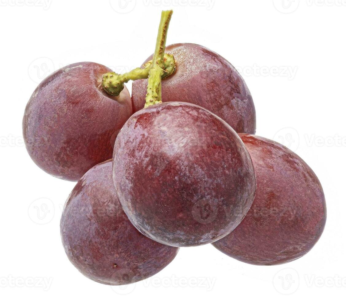 Red grape isolated on white background photo