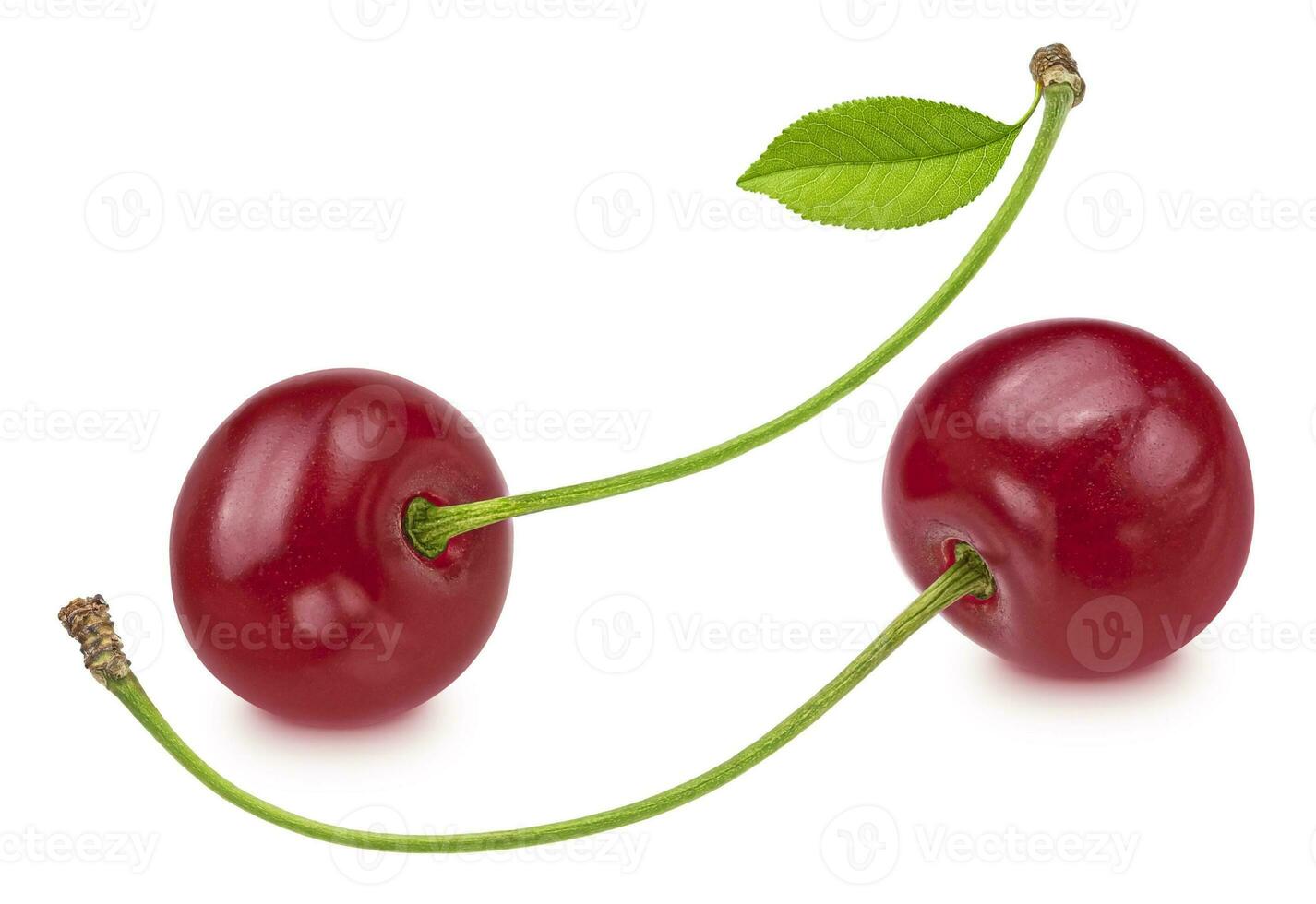 Cherries isolated on white background photo