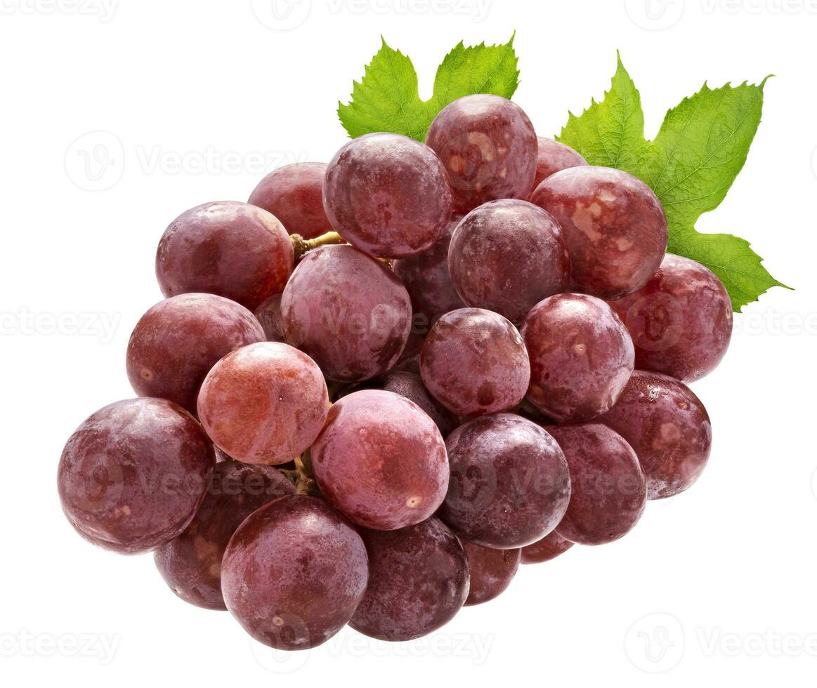 Red grape isolated on white background photo