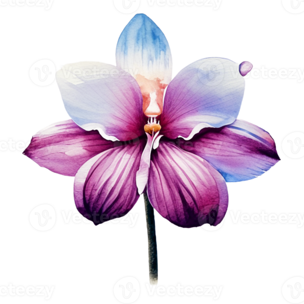 Orchid Flower beautiful AI Generative png