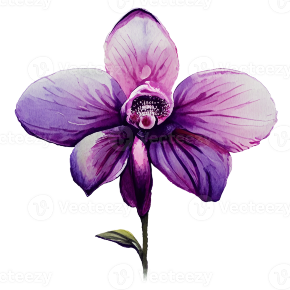 Orchid Flower beautiful AI Generative png