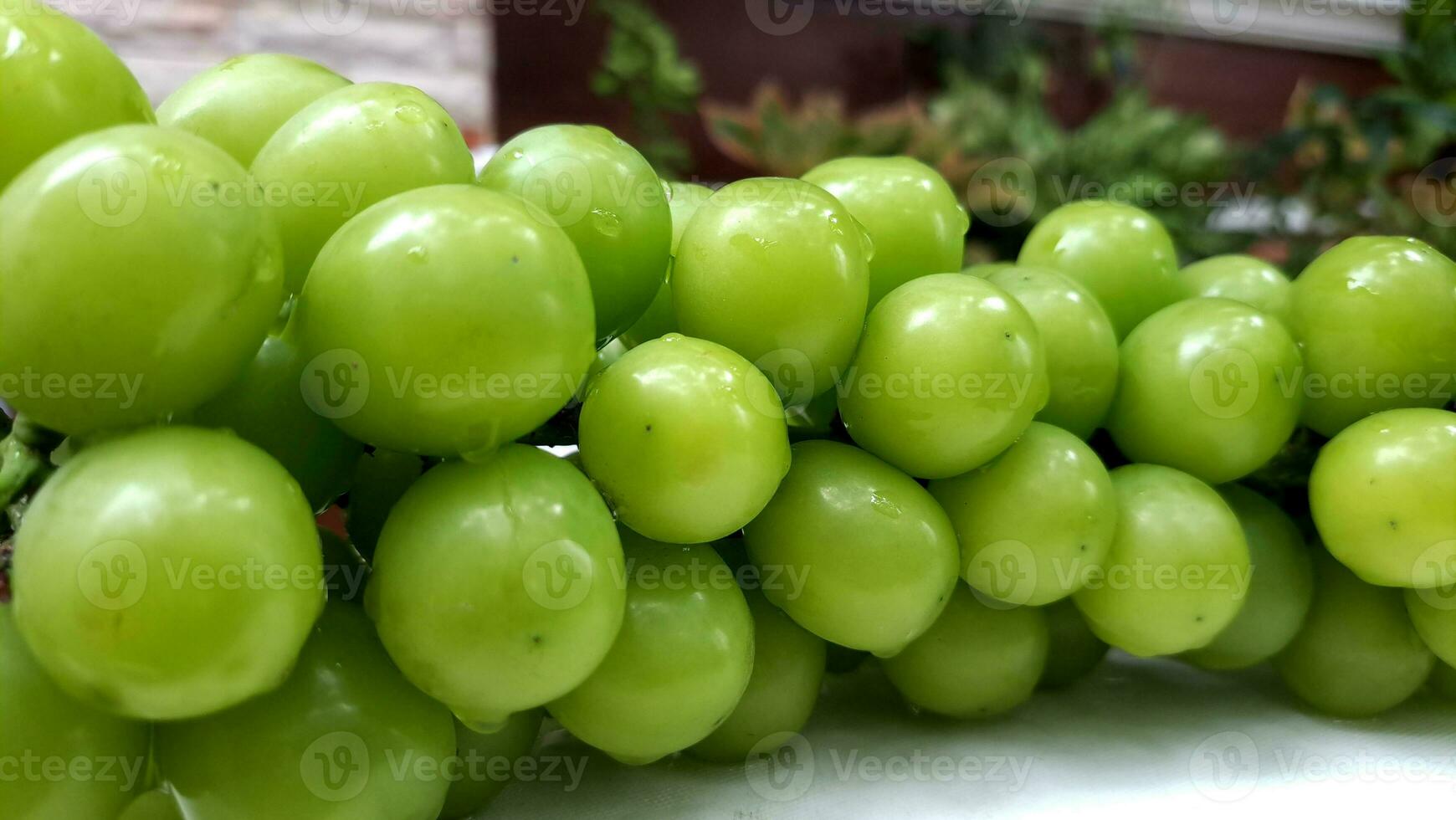 Muscat fresh green grapes stacked in heaps with blurry background photo