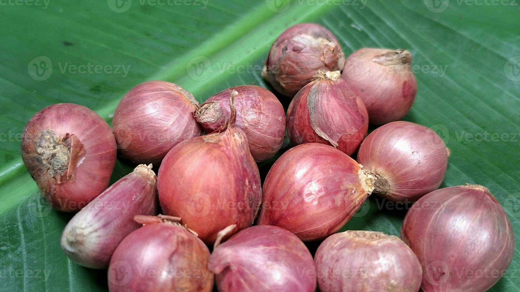 Photo of shallots piled together on a banana leaf.