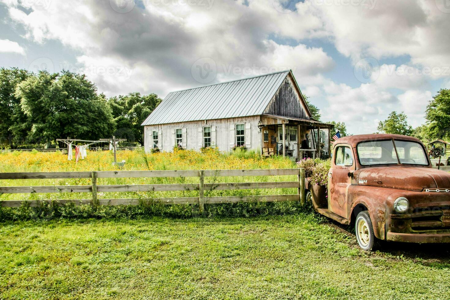 Old rusty car in a rural setting in Florida with a barn in the background photo