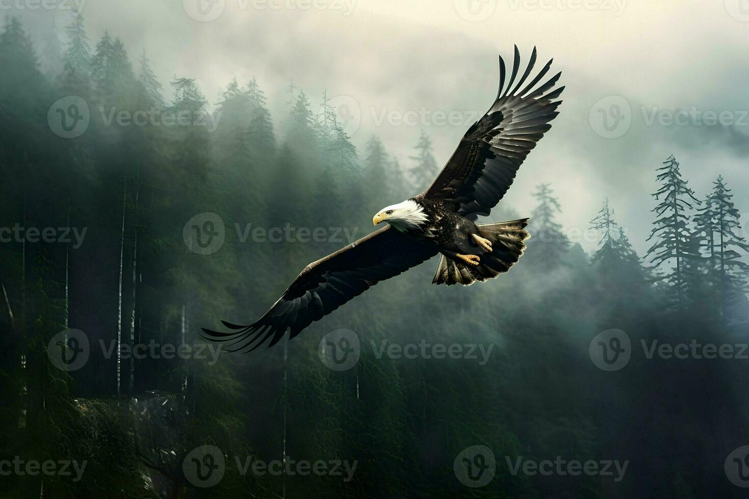 Photo of an eagle over the forest in mist. High quality. AI Generative