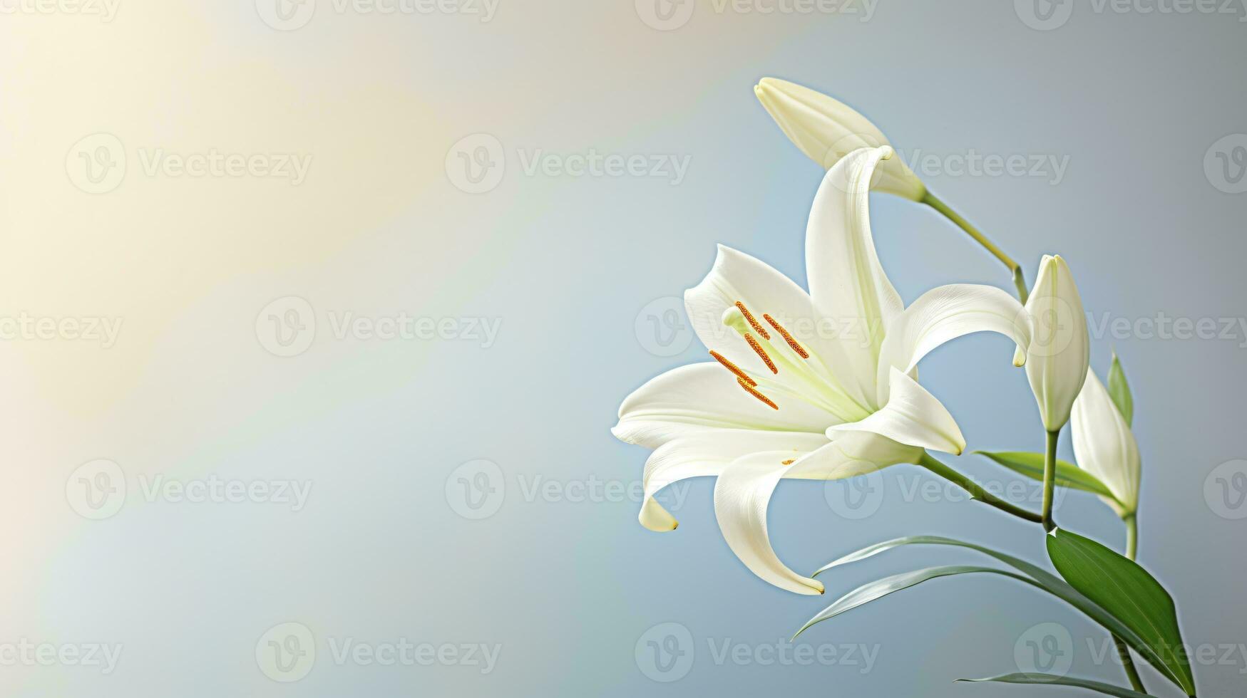 White lily with blurred background, AI generated photo