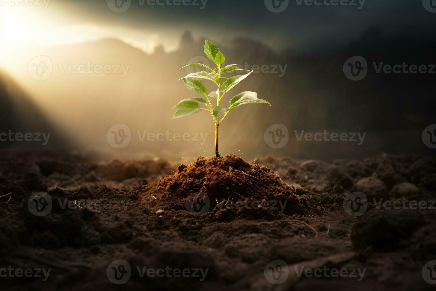 Sunlight shining on tree seedlings growing in the ground, concept of ecology, saving the environment, AI generated photo
