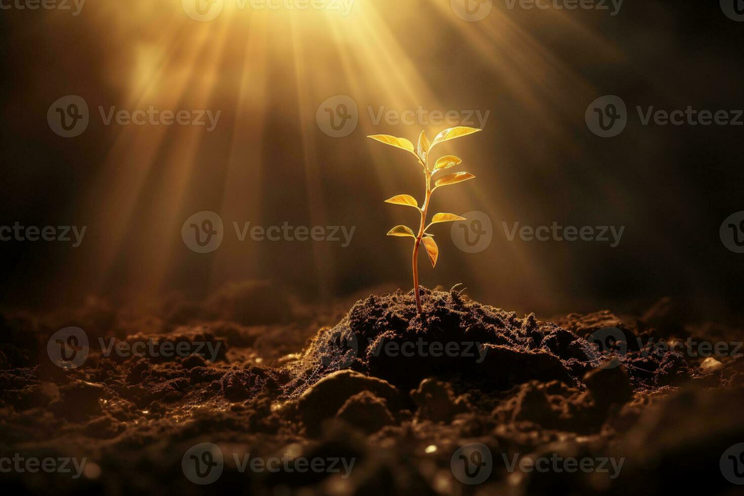 Sunlight shining on tree seedlings growing in the ground, concept of ecology, saving the environment, AI generated photo
