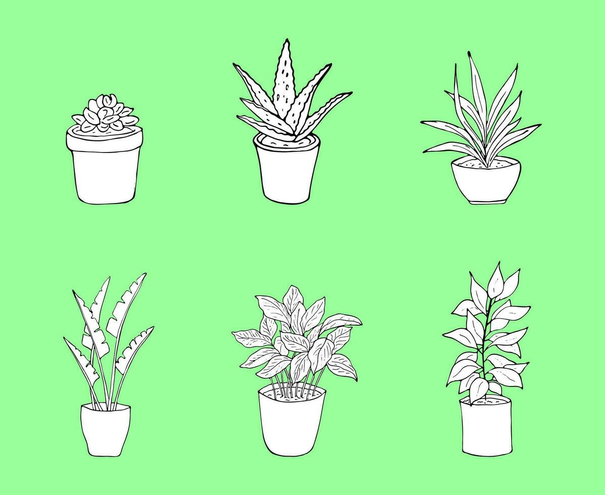 6 black and white illustrations of house plants in the pot. Hand drawn houseplants in the pot. Isolated on a green background. Vector illustration