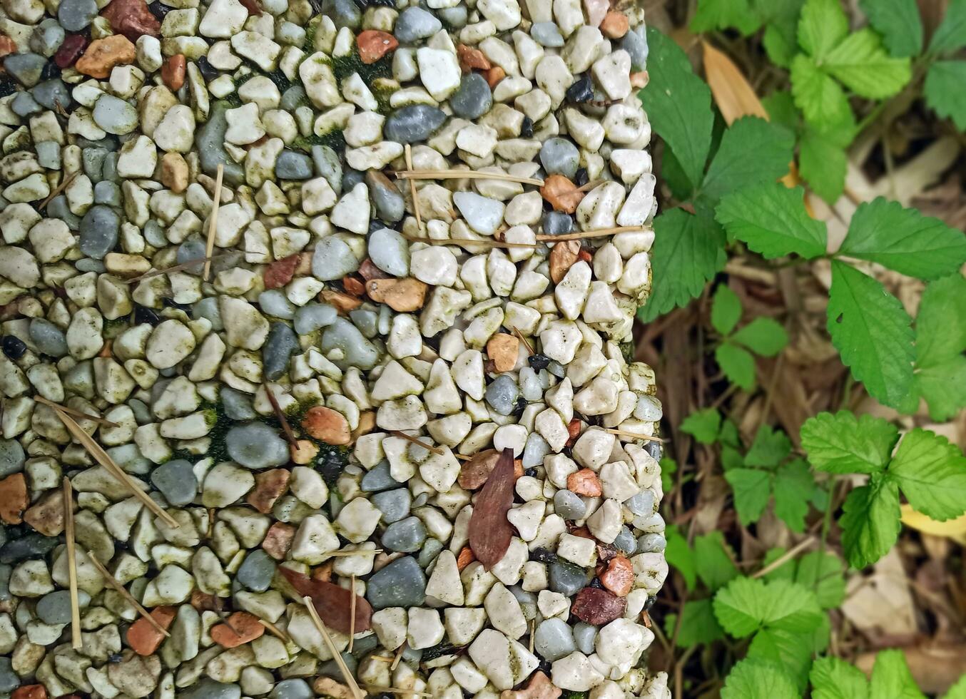 the path is the texture of stone and grass. close-up. background image Straight line of stone pavement and lawn on both sides. Top view photo