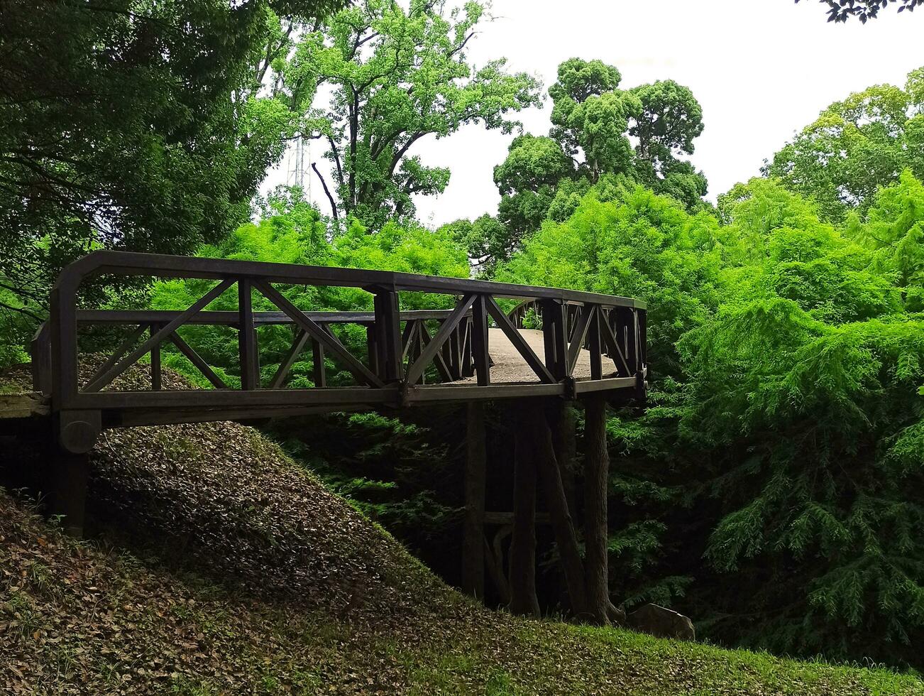 wooden railway bridge in the park. juicy greens, bright fabulous colors photo