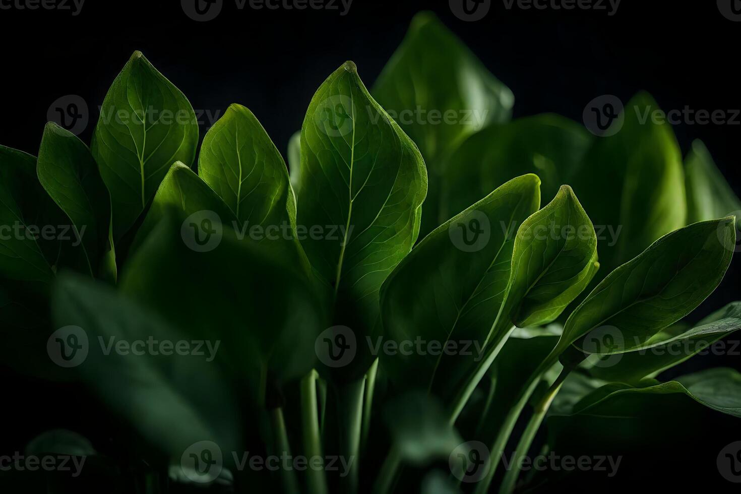The camera is focused on Choy, who is standing alone in a studio with a dark background Rewrite this text in simpler words photo