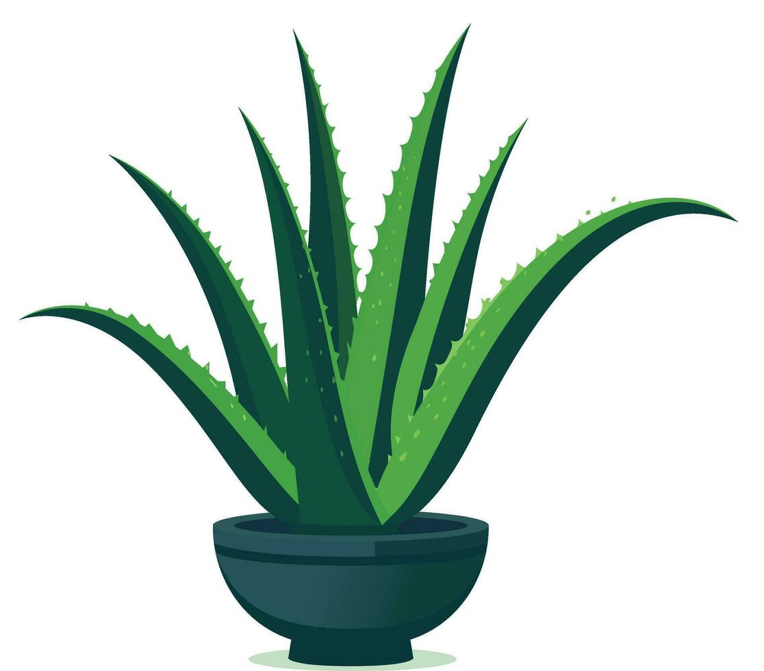 áloe vera planta en un maceta vector ilustración, acemanano, áloe africana, áloe arborescens molinero, áloe barbadensis, áloe barbadesis, áloe capensis, recubierto de aloe guantes, áloe ferox valores vector imagen