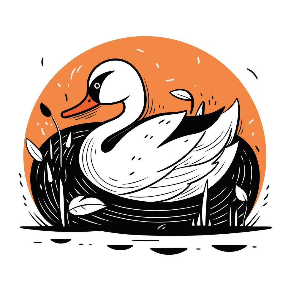 Swan on the lake. Vector illustration in doodle style.