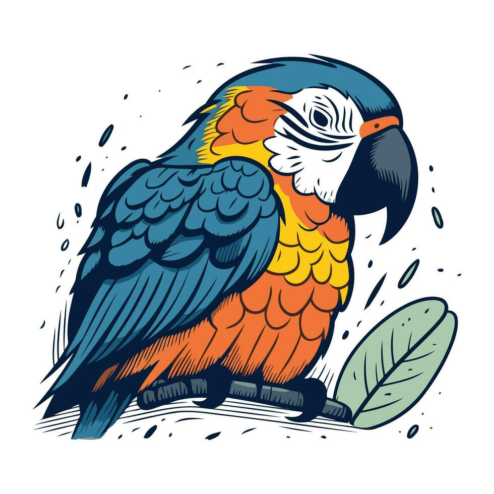 Parrot. Colorful vector illustration in cartoon style. Isolated on white background.