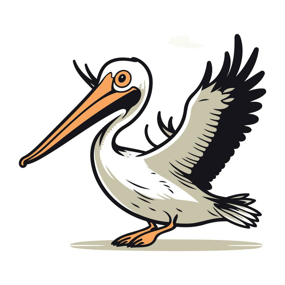 Pelican bird isolated on white background. Vector cartoon illustration.