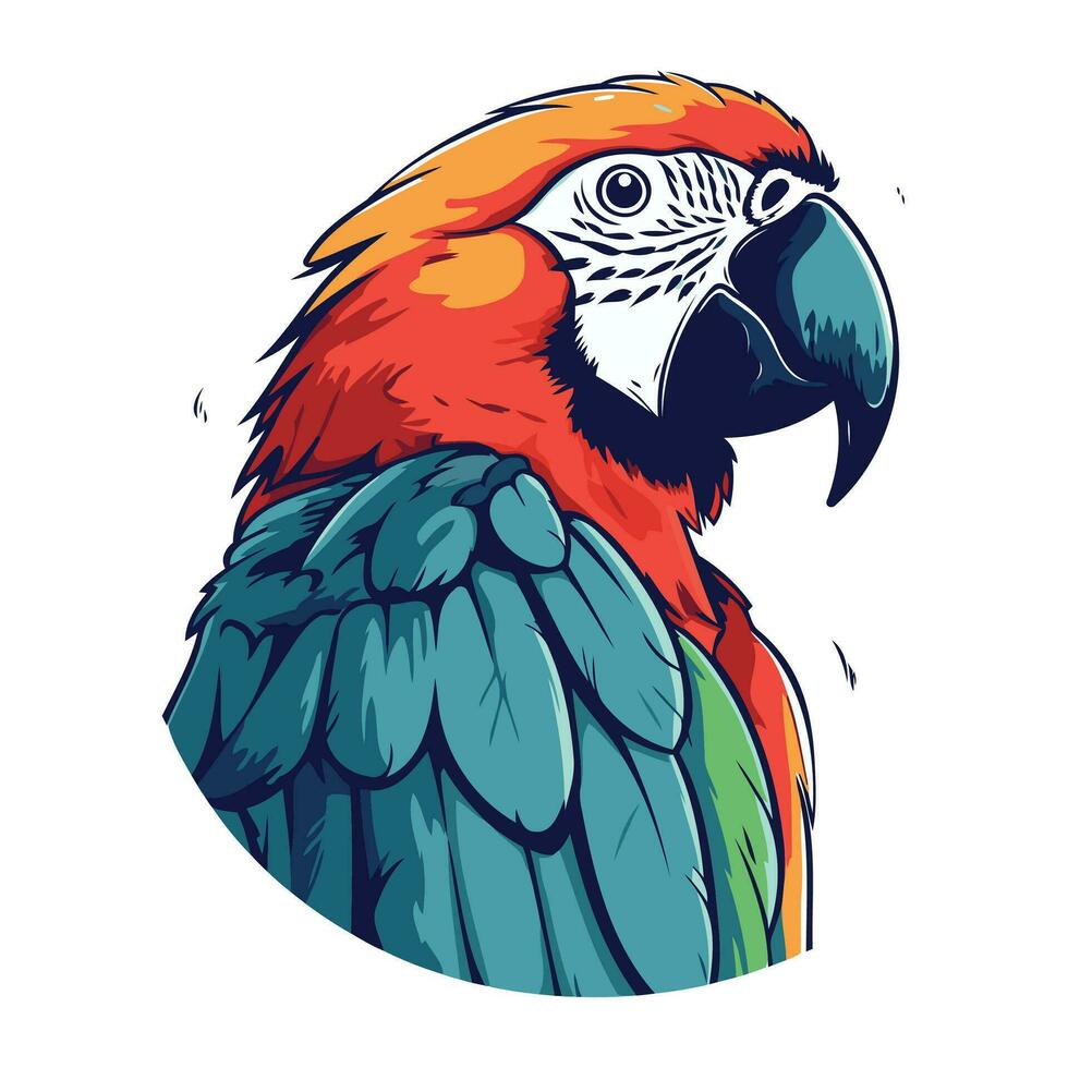 Colorful macaw parrot vector illustration isolated on white background.
