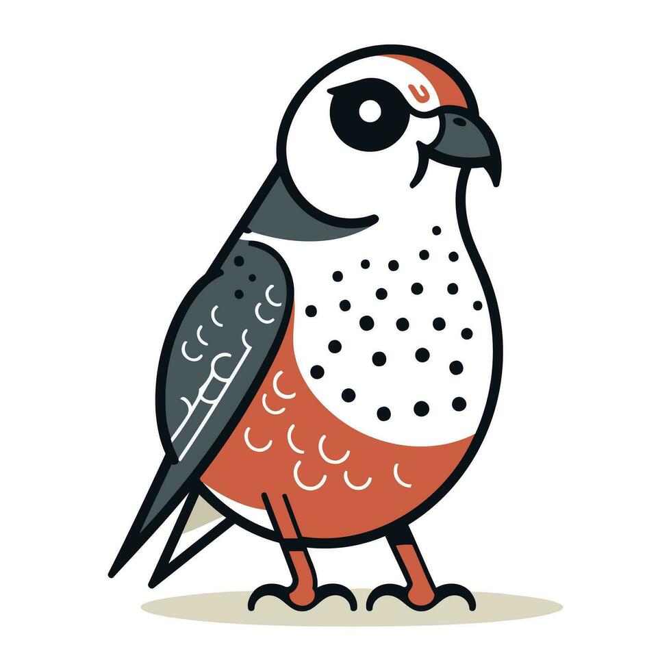 Illustration of a bullfinch bird on a white background. vector