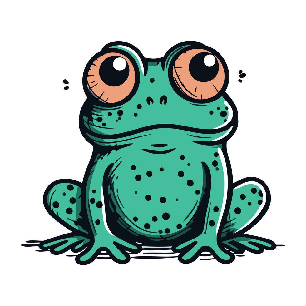 Frog vector illustration. Cute cartoon frog. Vector illustration.